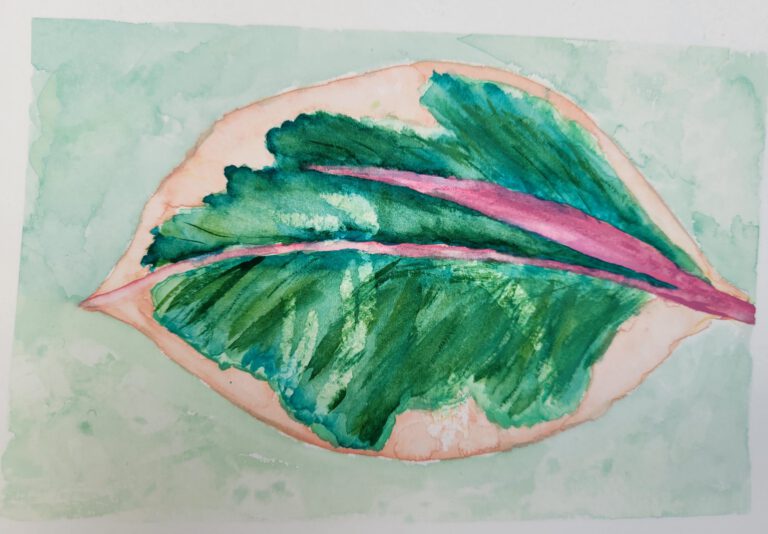 2026 amartform.studio watercolour leaf